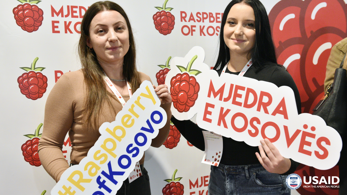 Sweetening the Future of Kosovo’s Raspberry Industry