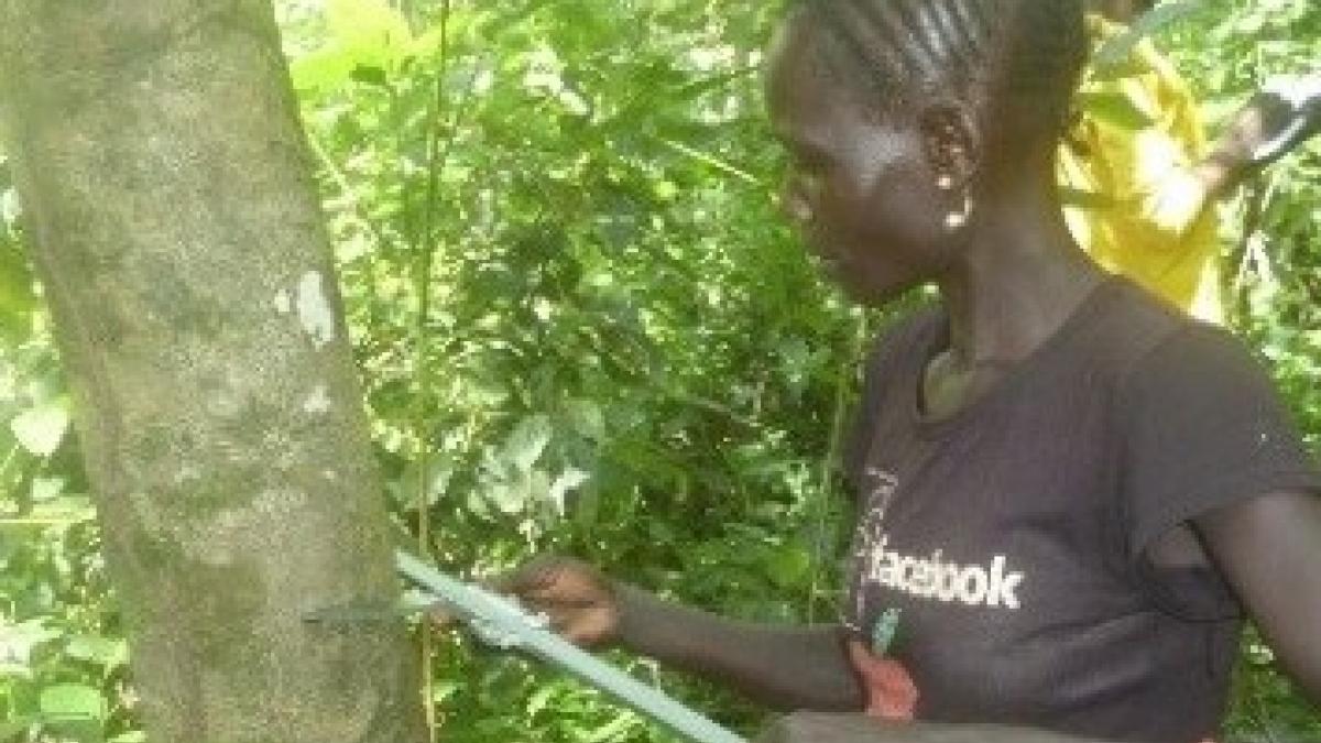  A woman from Gelesha Kebele takes part in the participatory forest resources assessment.
