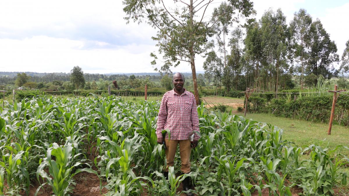 Stanley Kimeli stands proudly next to his improved harvest. 