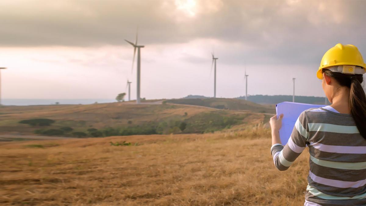 A female engineer surveys a wind farm.