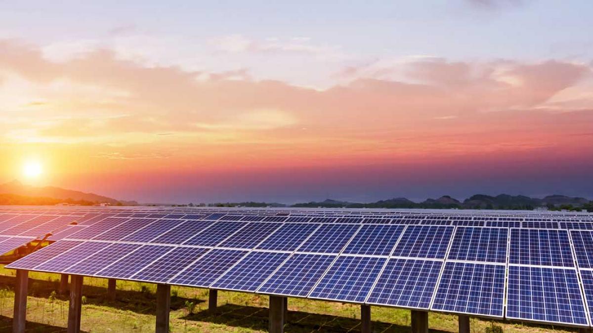 Photovoltaic arrays at a solar farm at sunset