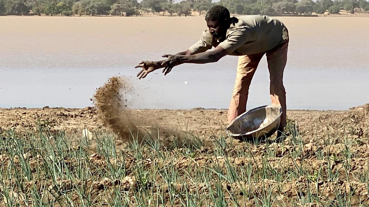 Niger Farmer Working