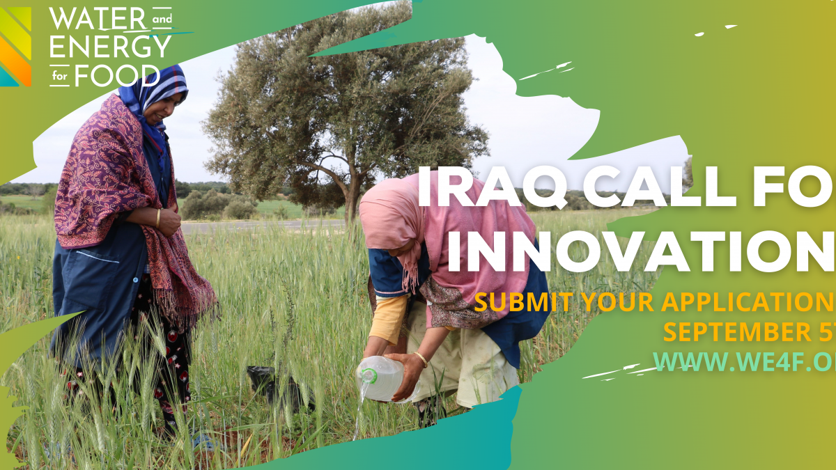 WE4F Iraq Track Call for Innovations
