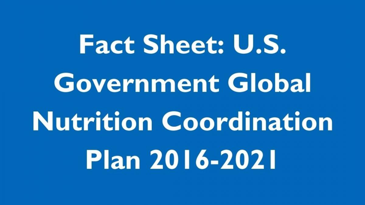 Medium blue box with text that reads: Factsheet, U.S. Government Global Nutrition Coordination Plan 2016-2021