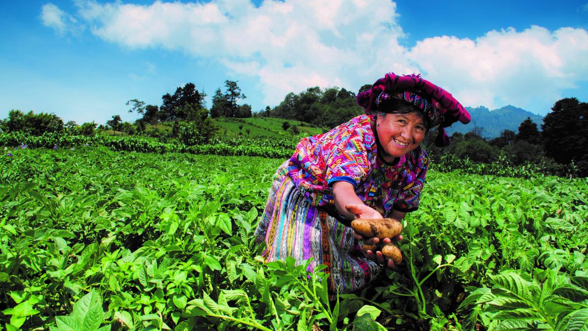 Prosperity in Guatemala