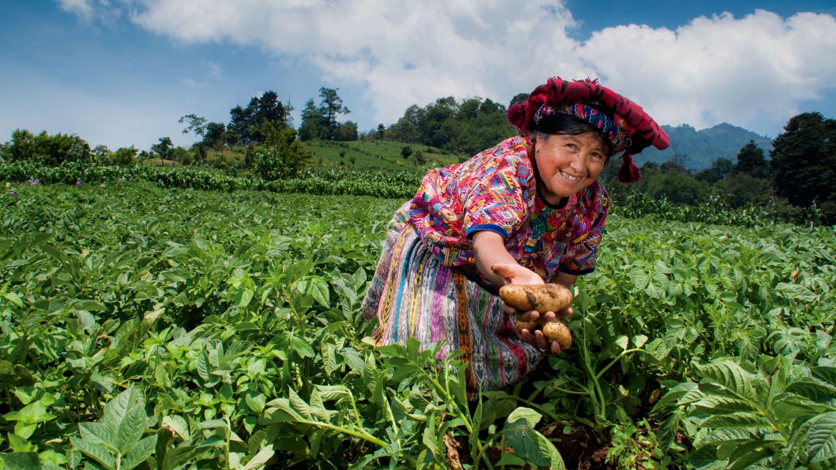 Food Security fact sheet Guatemala