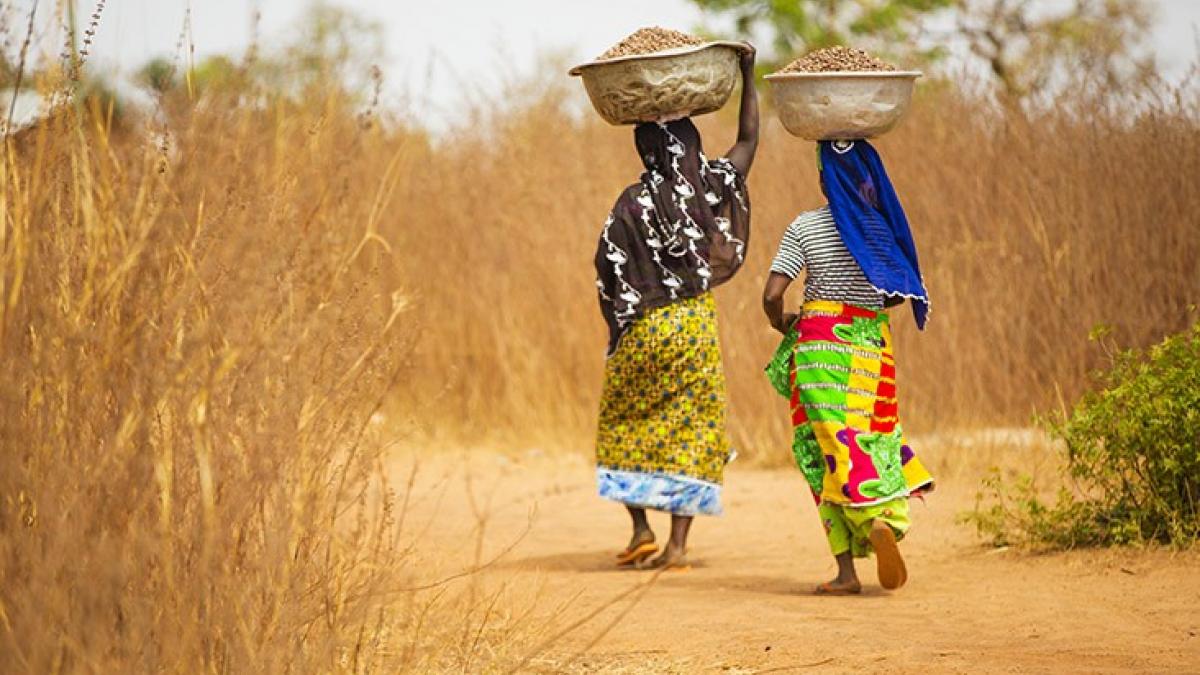 USAID and the Global Shea Alliance partner to connect West Africa village women to the global marketplace.