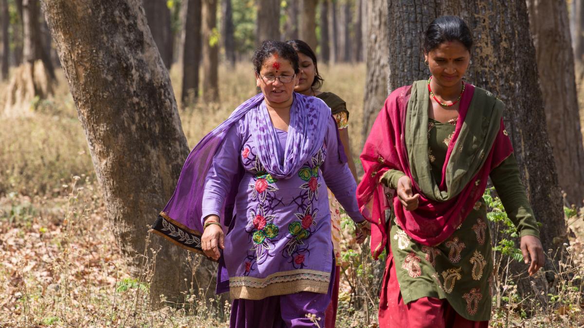 USAID has supported Nepal’s community forestry users groups (CFUGs) for decades through training in leadership skills, communication, and community planning.