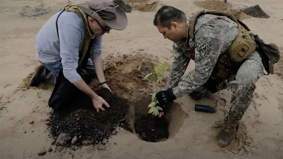 Two people planting a tree in deforested land