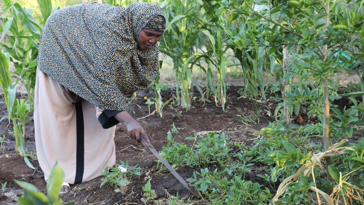 Shinda tending to her farm, Isiolo County, USAID's LMS