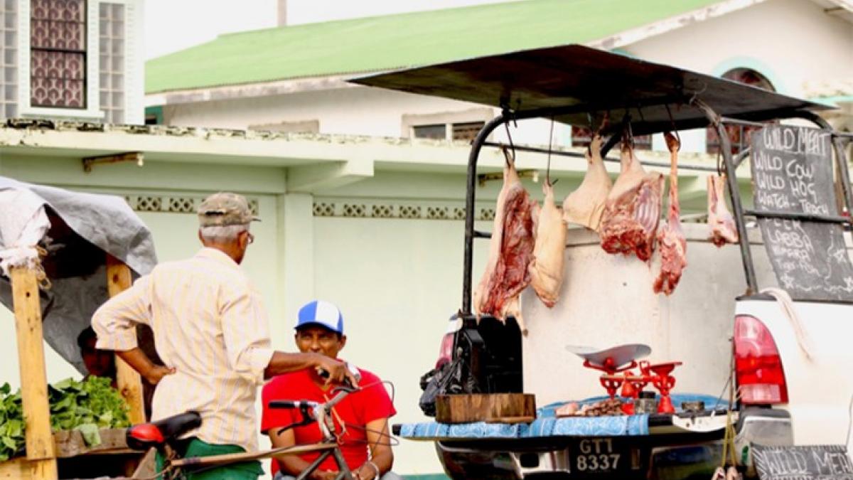 Wild meat for sale is displayed hanging from a truck.