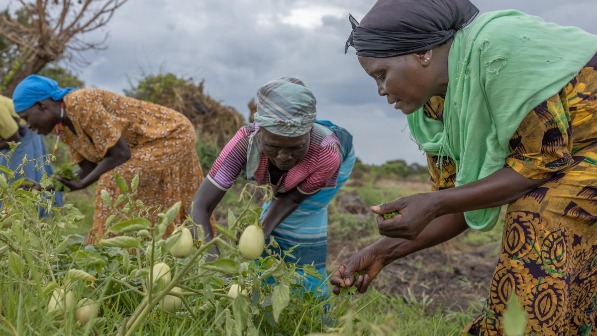 Women farmers. PHOTO CREDIT: Sofi Lundin / Panorama news