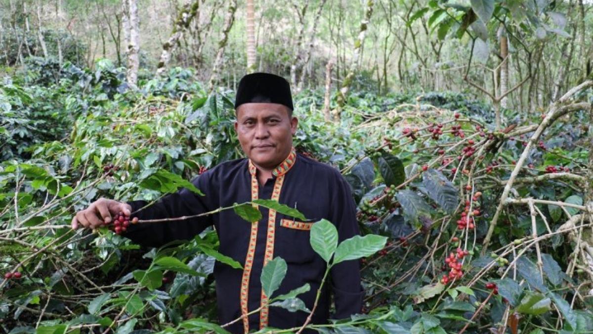 Yusdi Abadi is a farmer in Aceh, Indonesia, who has been able to diversify his income by growing coffee.