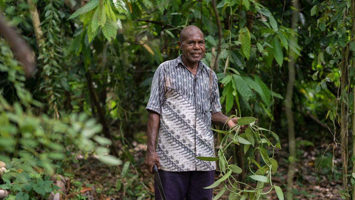 Indonesian vanilla farmer Augustinas Daka stands with the vanilla plants
