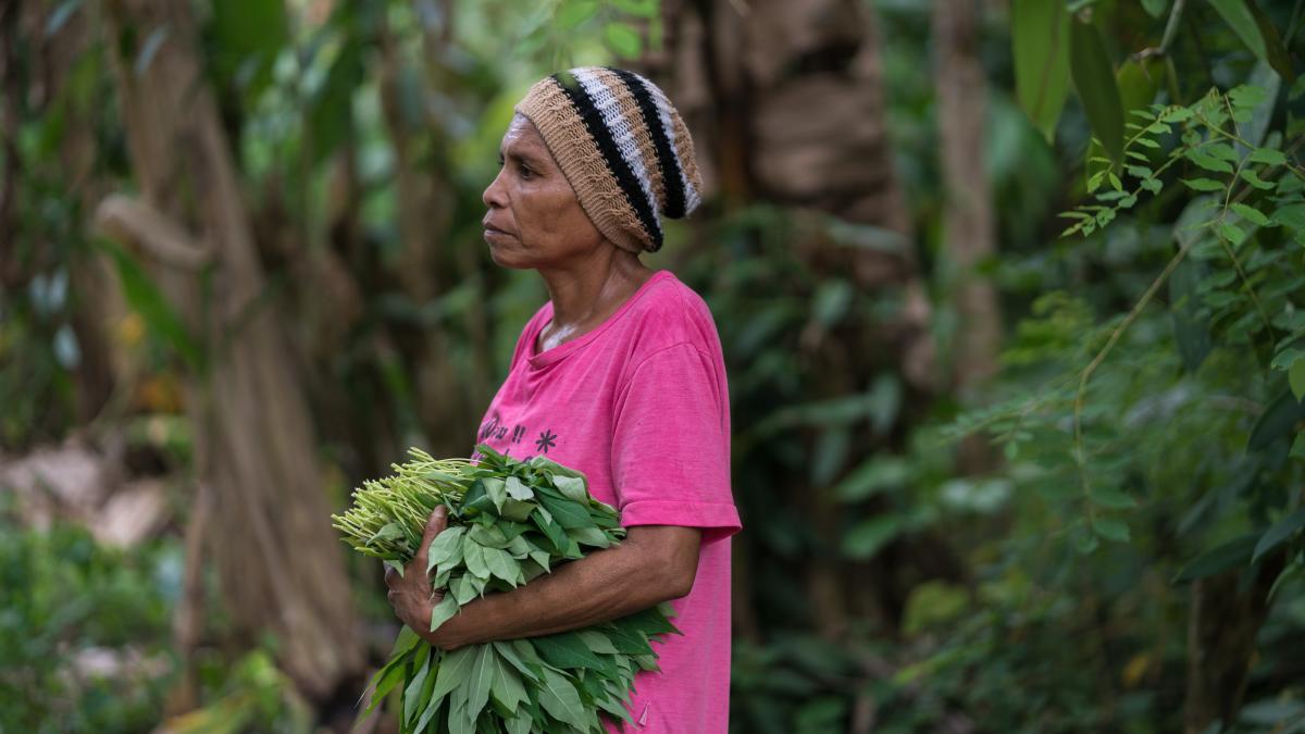 Juliana Soro, wife of Agustinos Daka, collects vegetable in their farm.