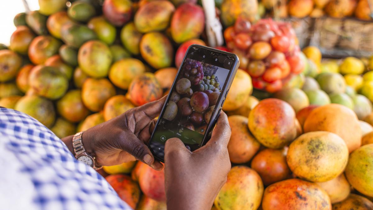 A hand holding smartphone snaps a photo of a pile of fresh produce.