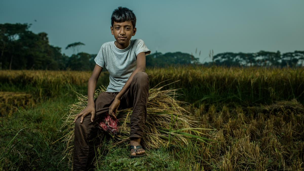 Taroni's son sits on top of a pile of unprocessed rice