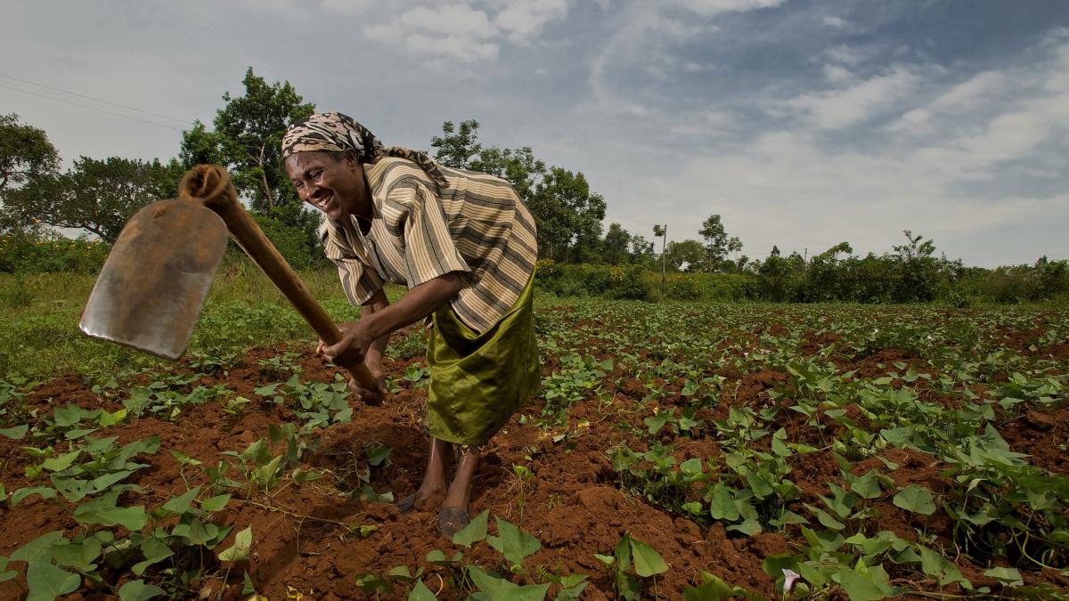 A woman farming
