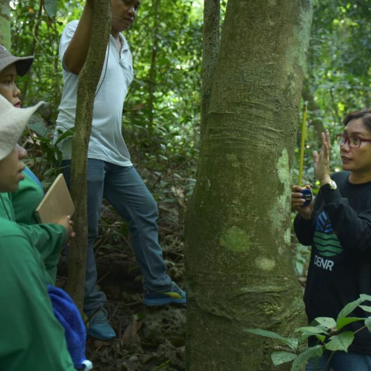 USAID Trains Filipino Natural Resource Managers and Researchers in Ecosystem Valuation