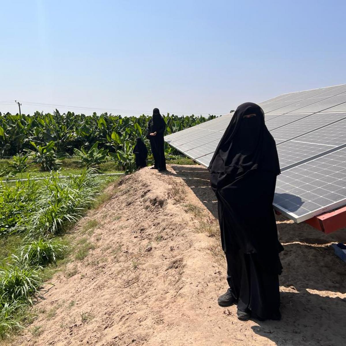 USAID connects entrepreneurs, like Eman Ali Ahmad, with the financing they need to change their lives. Through a small enterprise loan with project partner, Al Tadamon Bank, she has purchased a solar powered irrigation system that is turning her farm into a more successful and sustainable enterprise.