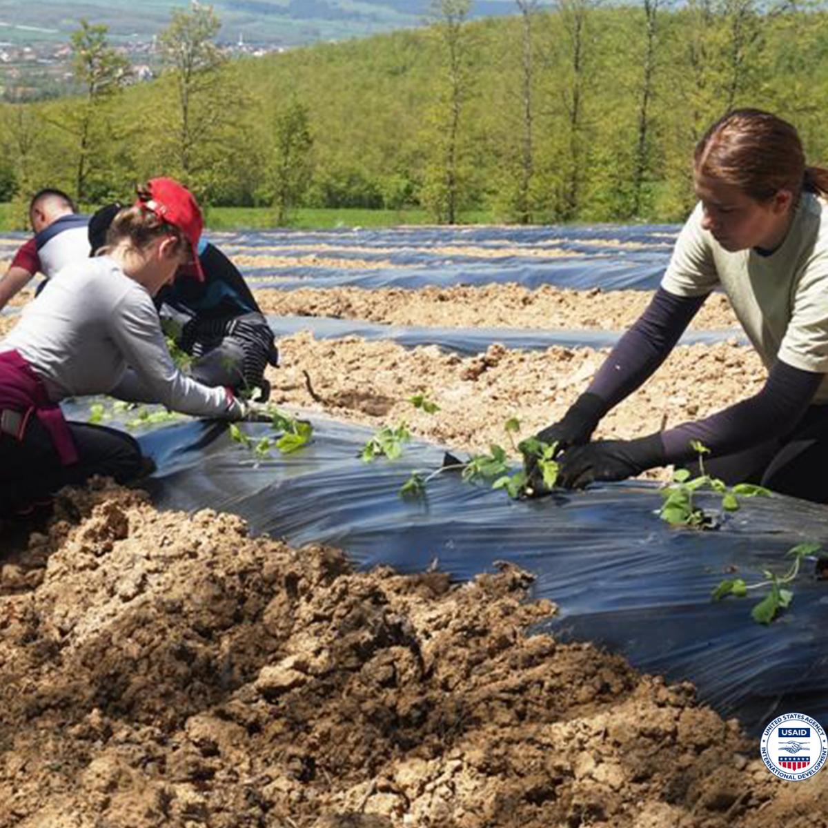 Kosovo Farmers Demonstrate Resilience