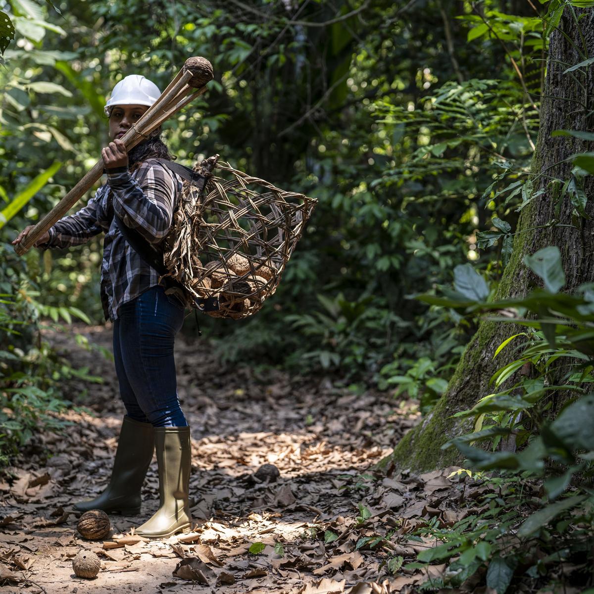 Yacxeri walking on the Amazon rainforest carrying a basket full of Brazil nut