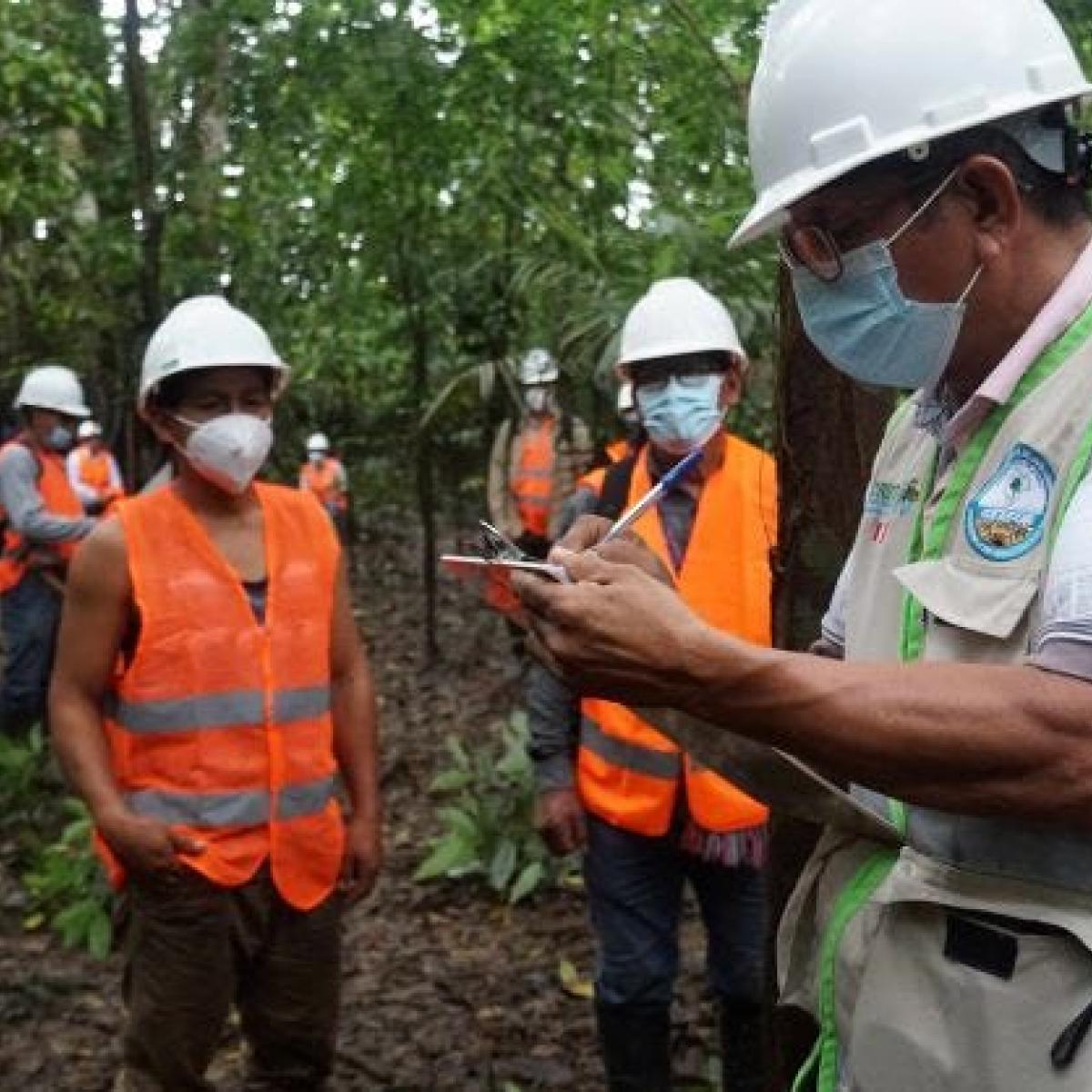 A man from the Loreto forest authority measuring trees and teaching indigenous people in the amazon rainforest