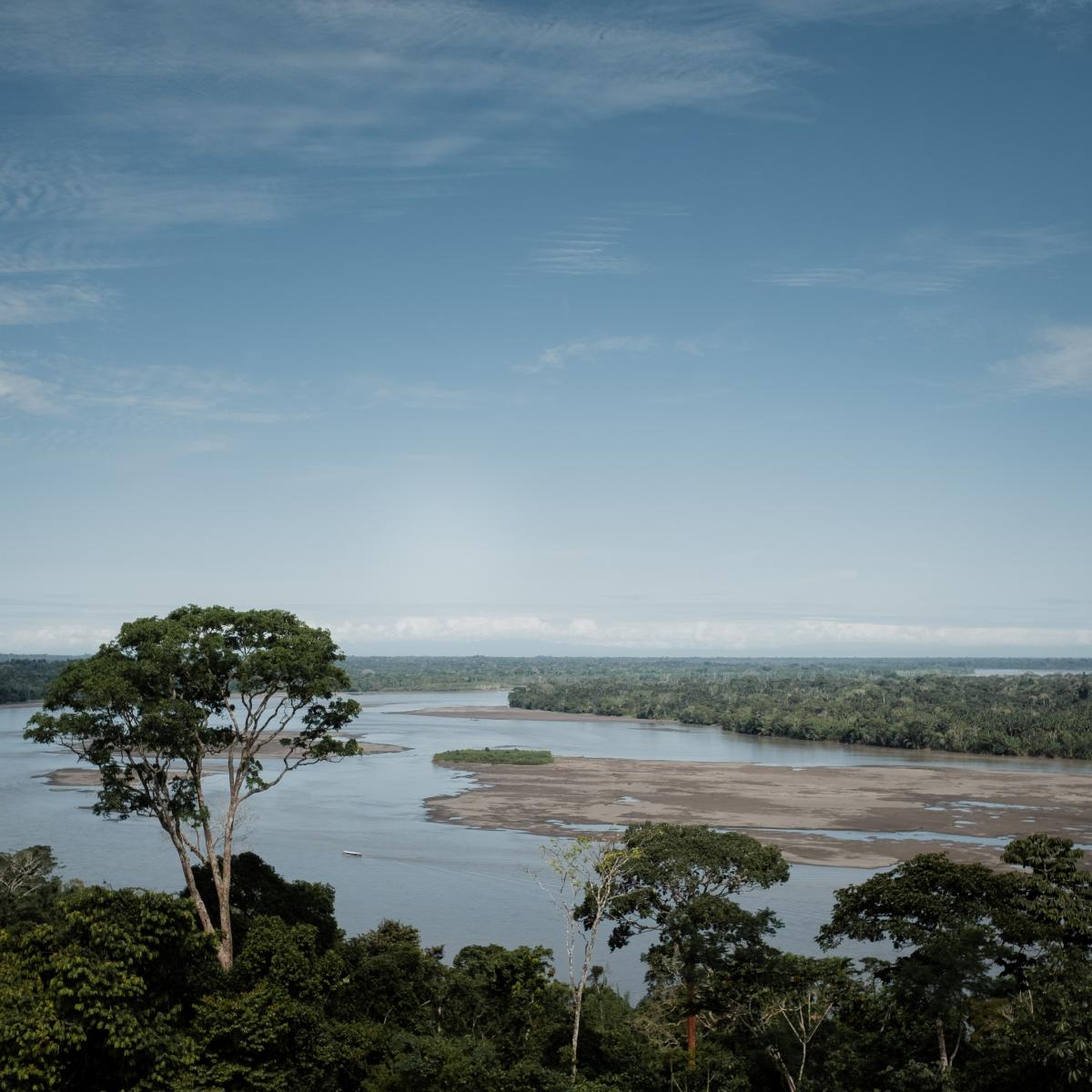 This picture shows a river and landscape of the Amazon River. This is part of the Yasuní National Park in Ecuador. 
