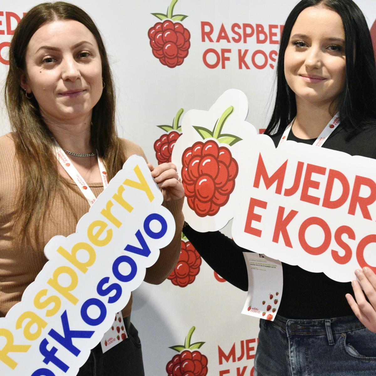 E ardhme e ëmbël për industrinë e mjedrës në Kosovë