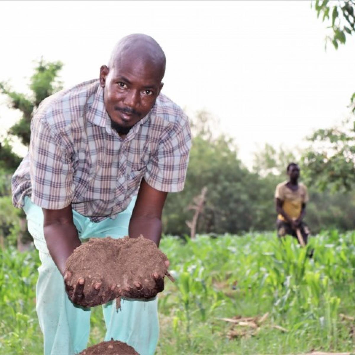 Samba putting organic fertilizer to work on his farm
