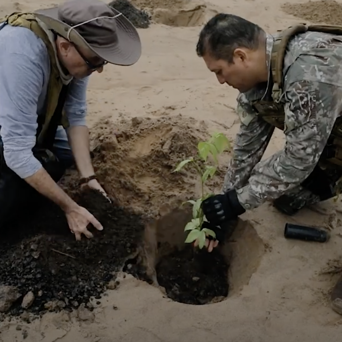 Two people planting a tree in deforested land