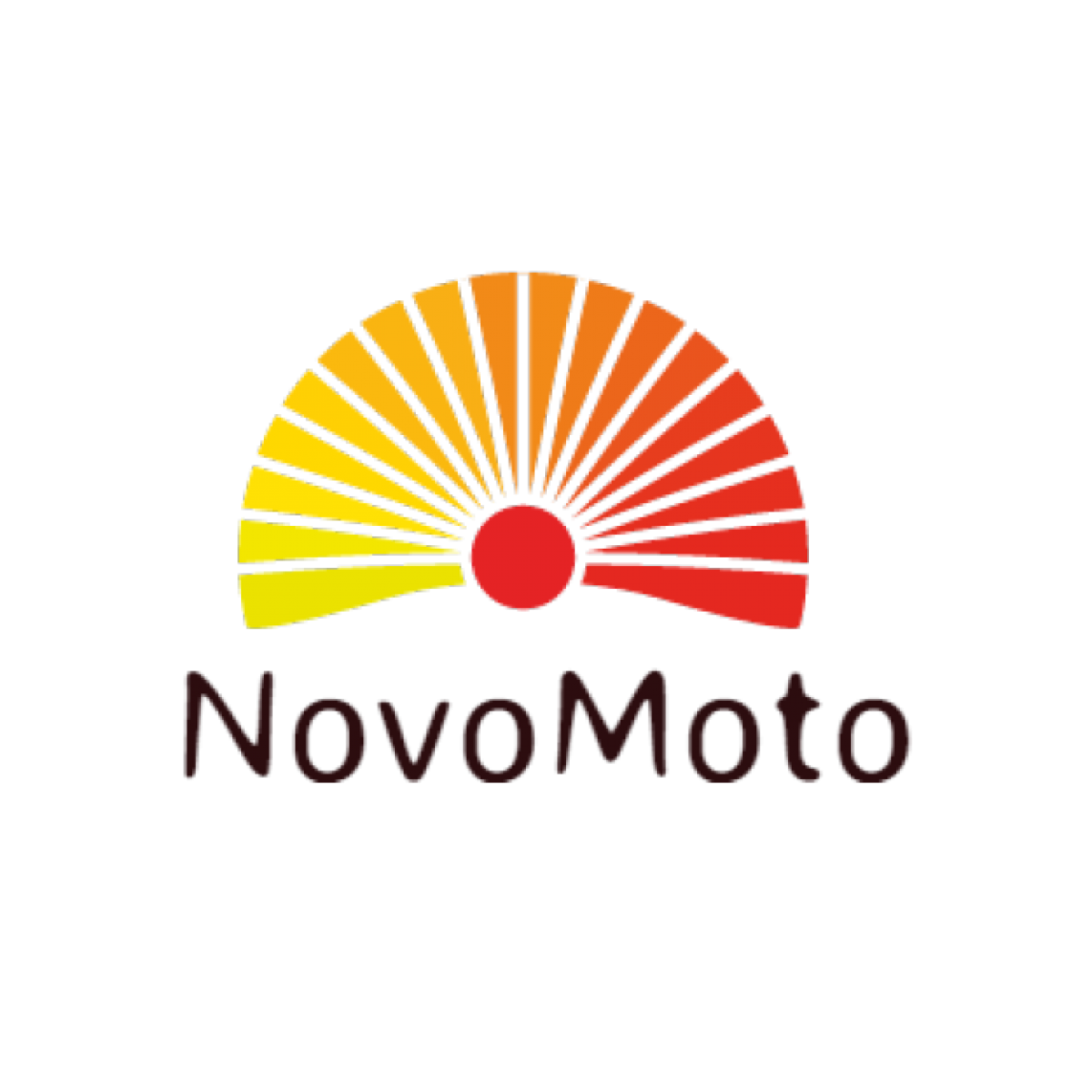 NovoMoto logo