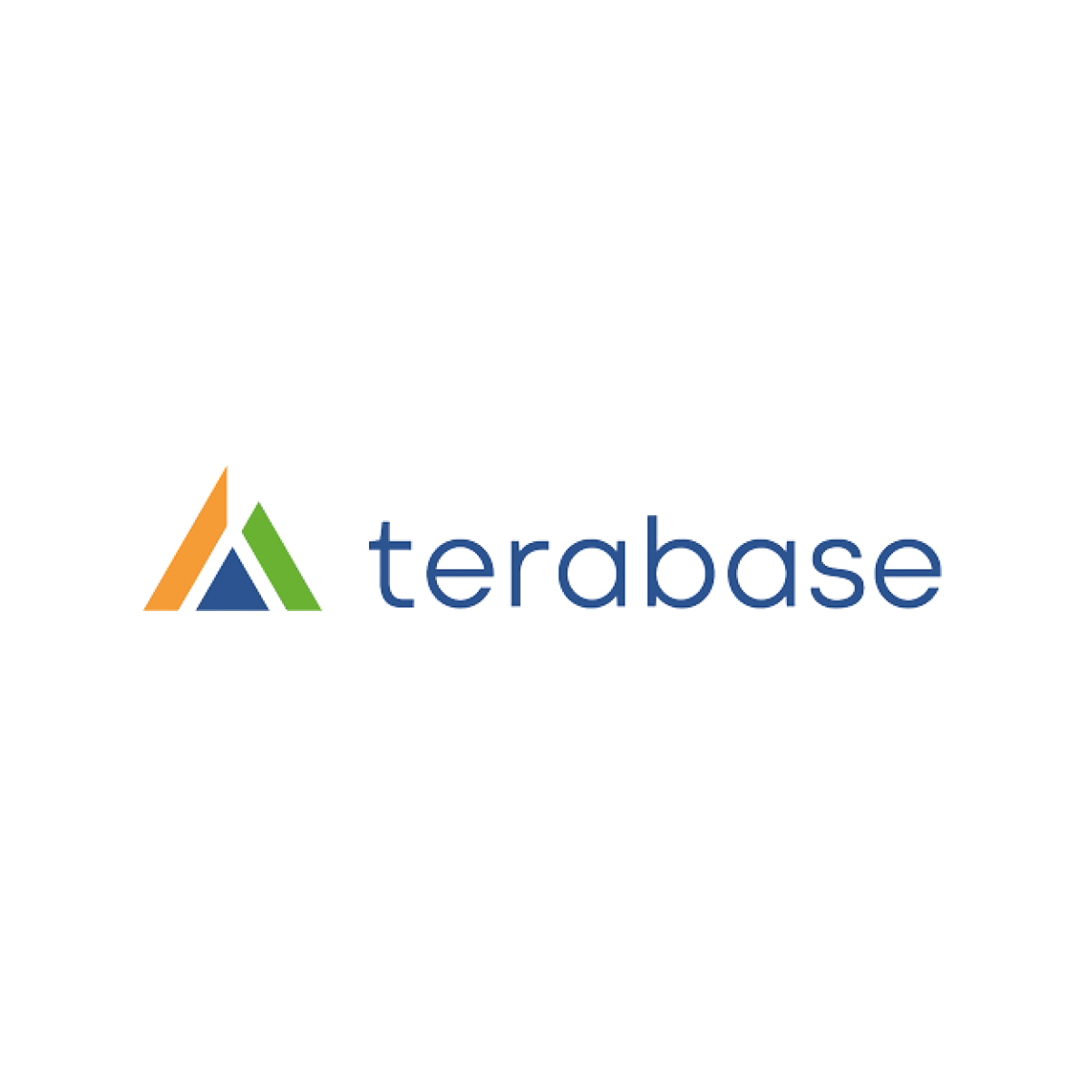Terabase logo