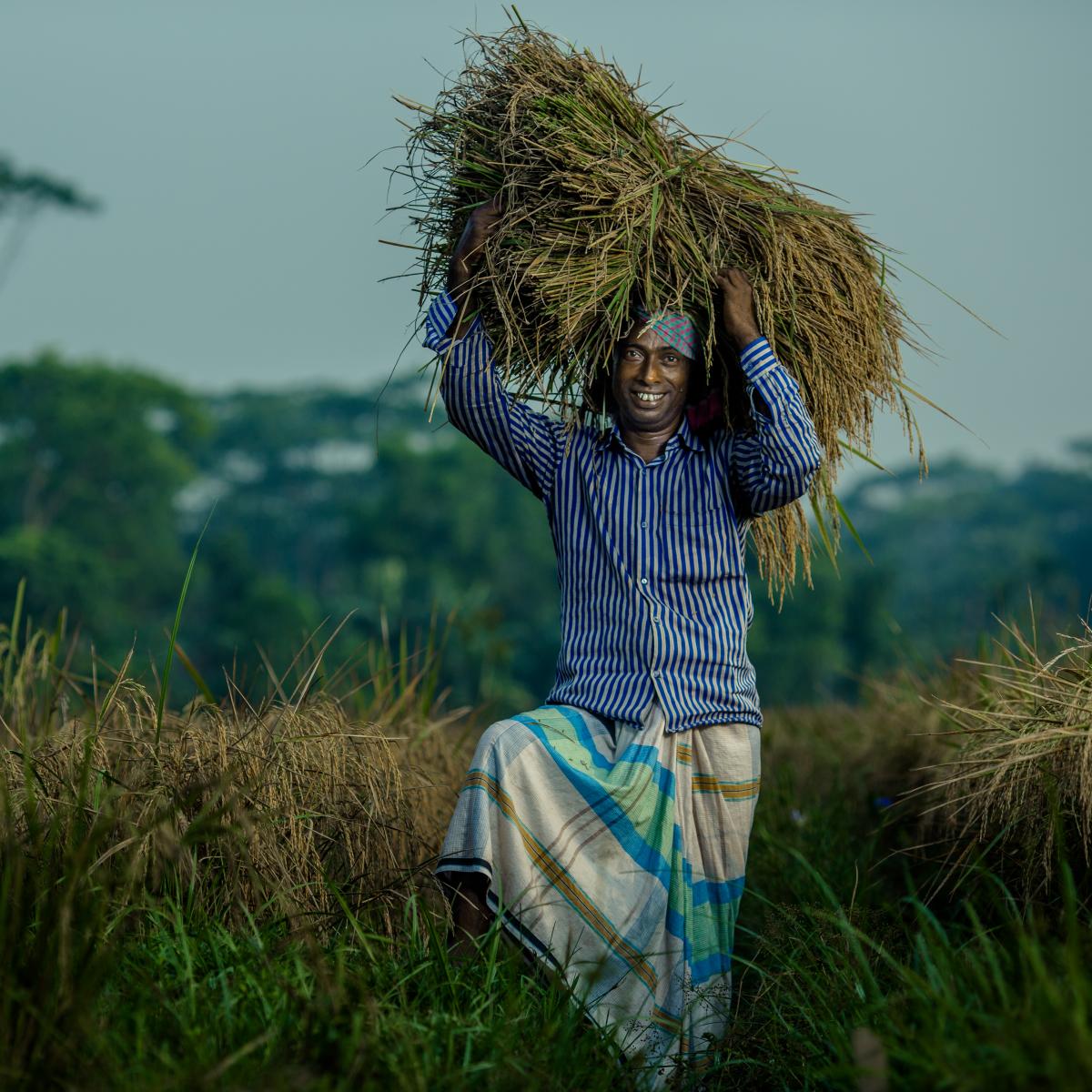 Taroni Kanta Shikari poses with a bundle of rice