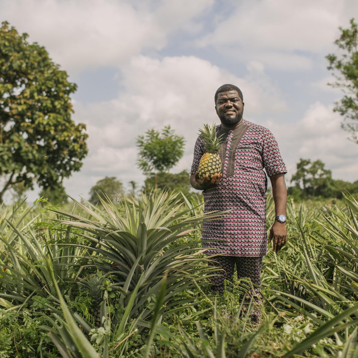 Farmer standing in a field holding a pineapple.