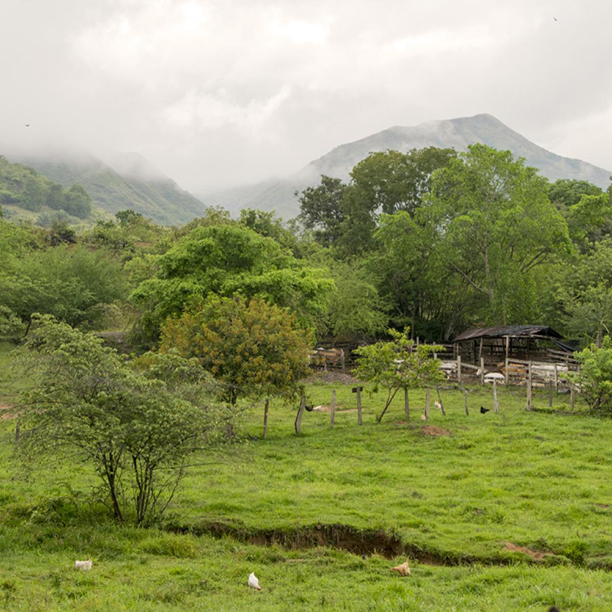 Rural property in front of mountain range.