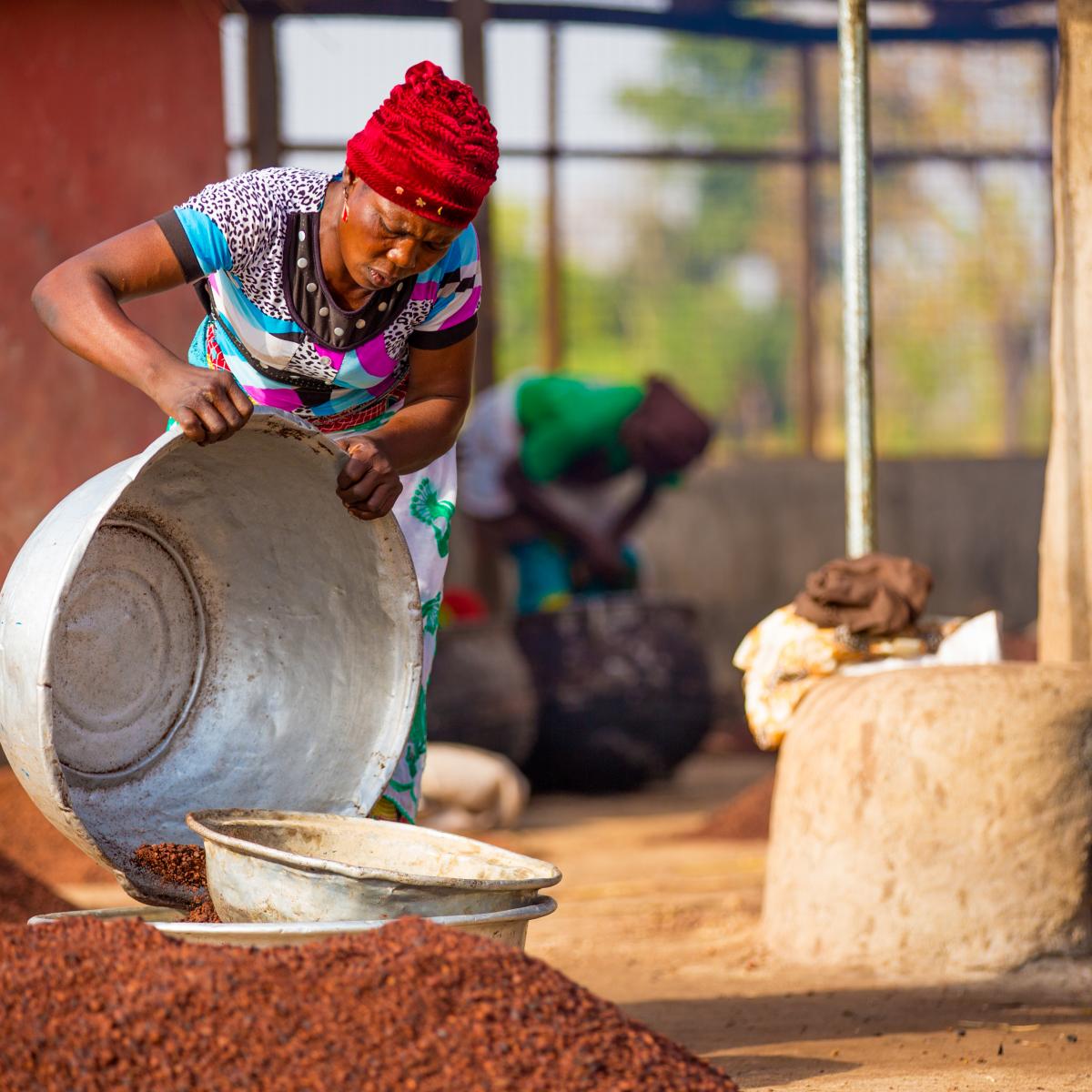 A woman pours a bucket of shea nuts into a pile.