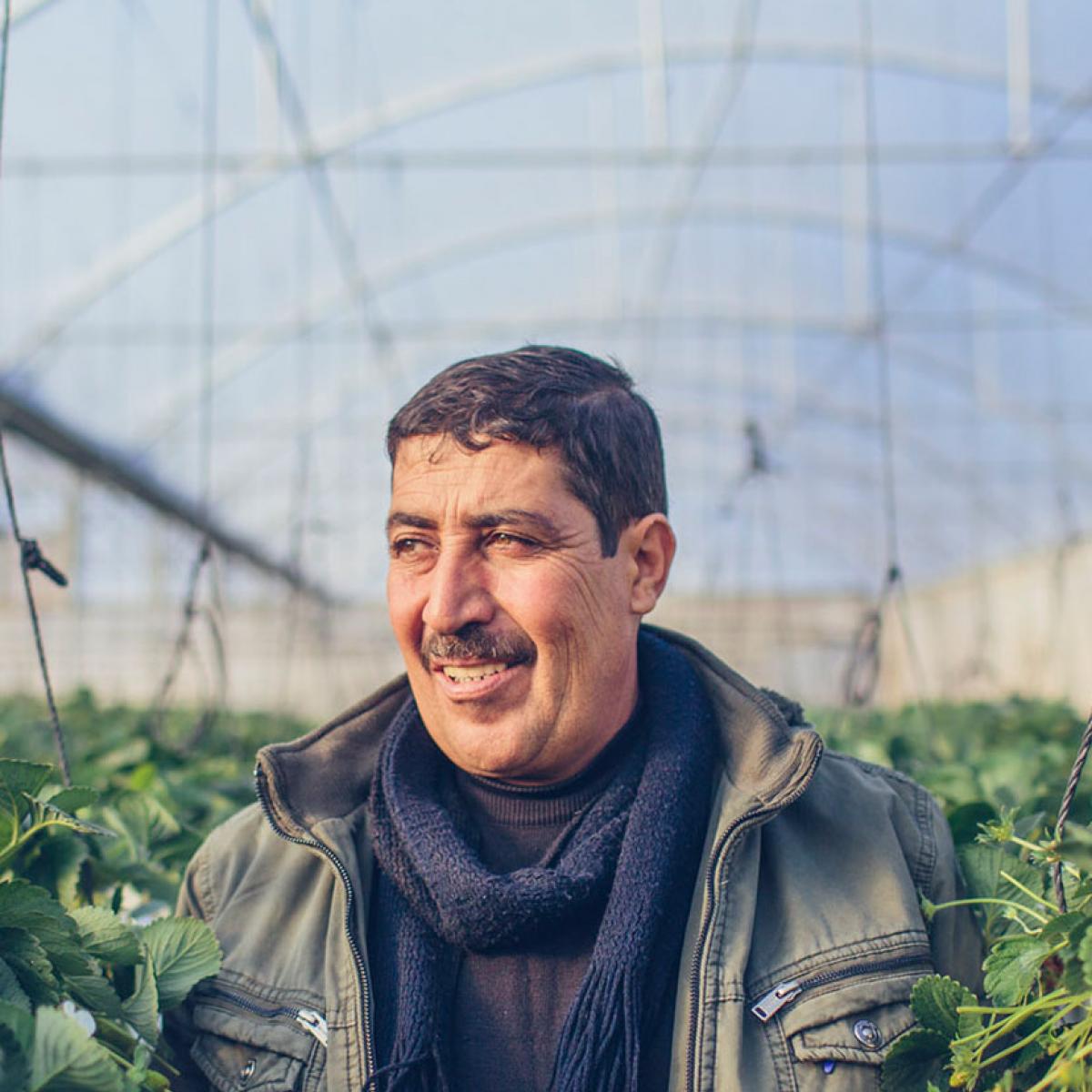 Osama Abu Al-Rub, smiles as he stands in his strawberry fields on his farm in Qabatiya, in Jenin Governorate, Palestine.