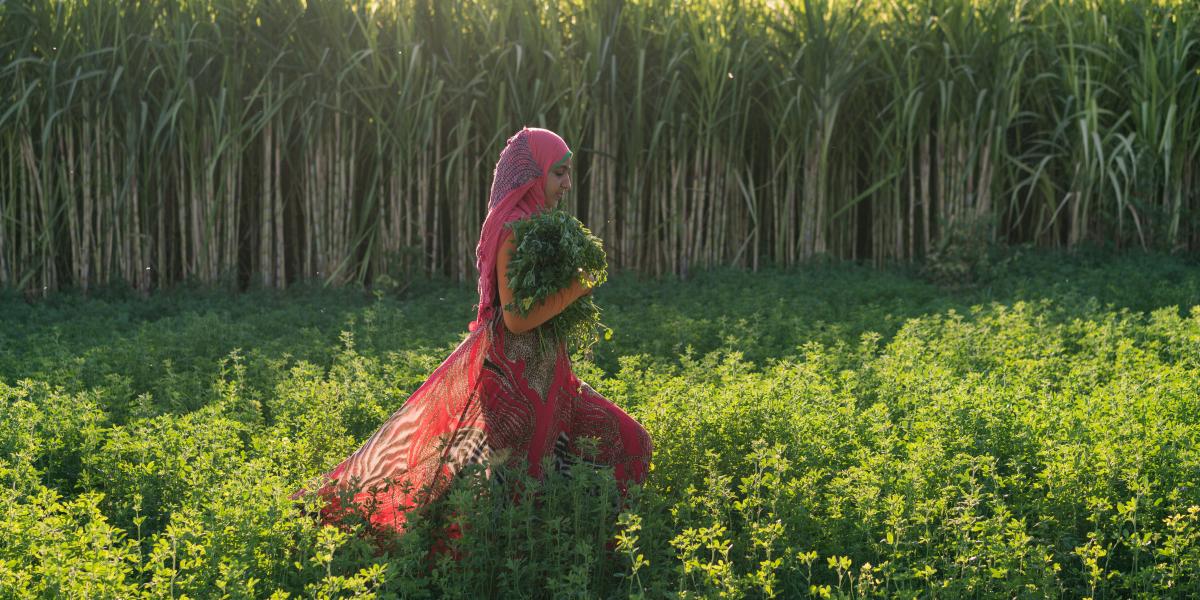 Young woman carries cuttings of vegetable.