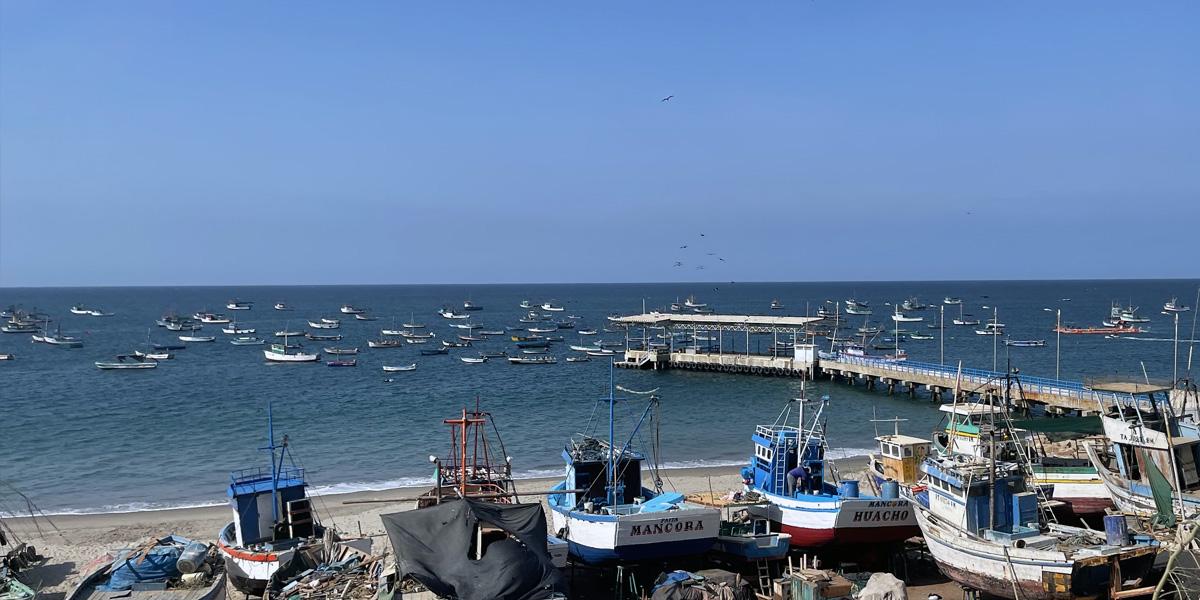 Panoramic view of the ocean and numerous fishing boats