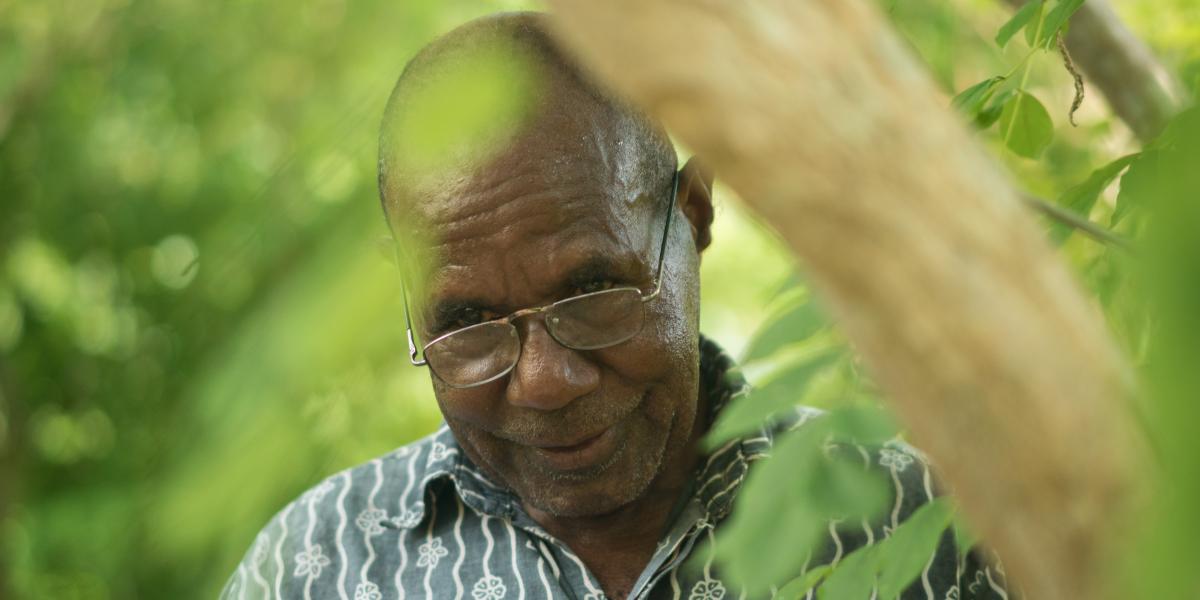Farmer Agustinos Daka, 61, pollinates the vanilla orchids on his farm by hand
