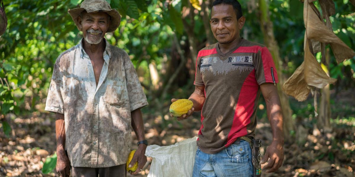 Two cacao farmers