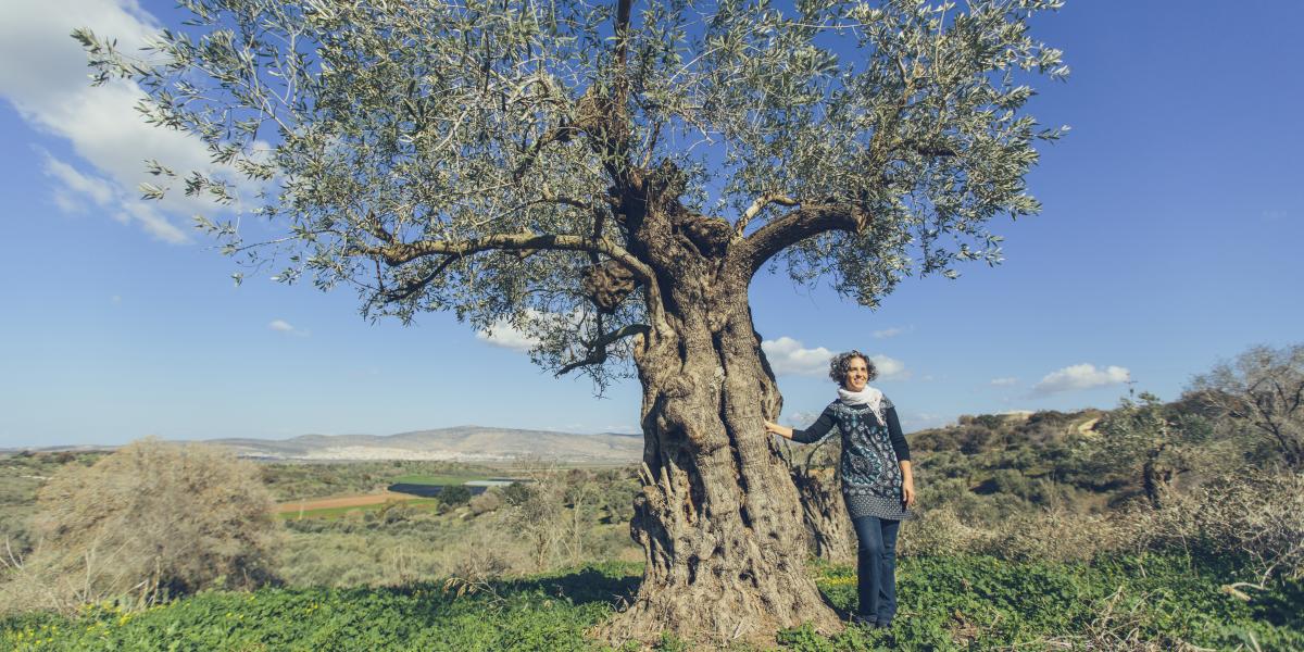 Ayala stands next to an olive tree.