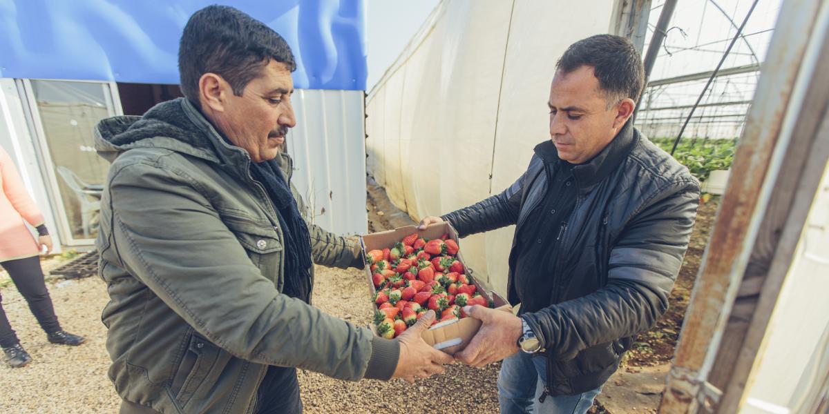 Two men holding a big box of strawberries.