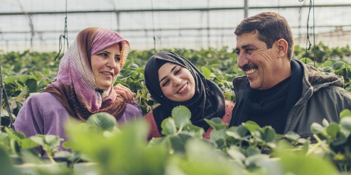 Two woman and a man smiling surrounded by strawberry plants