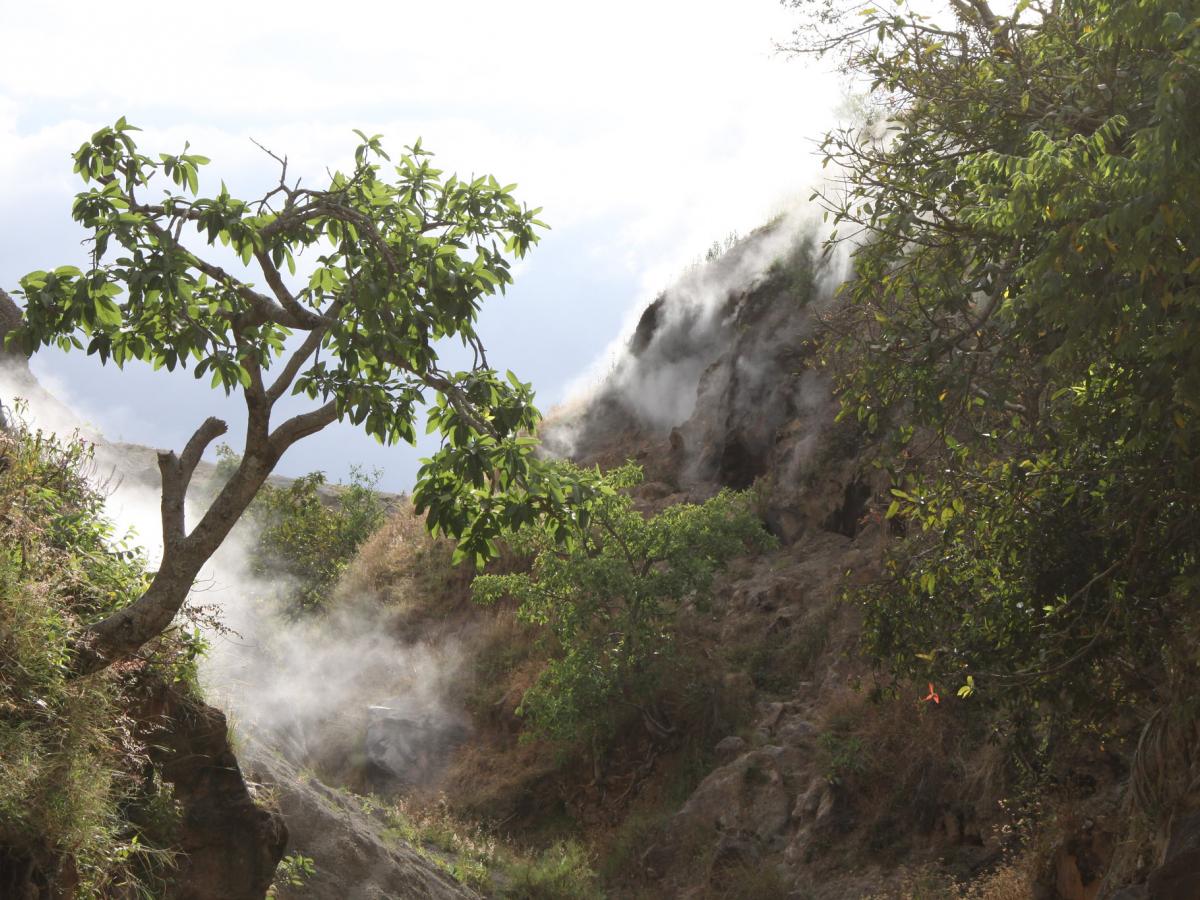 Natural geothermal steam (fumarole) rises from the ground in a ravine within the Corbetti Caldera.