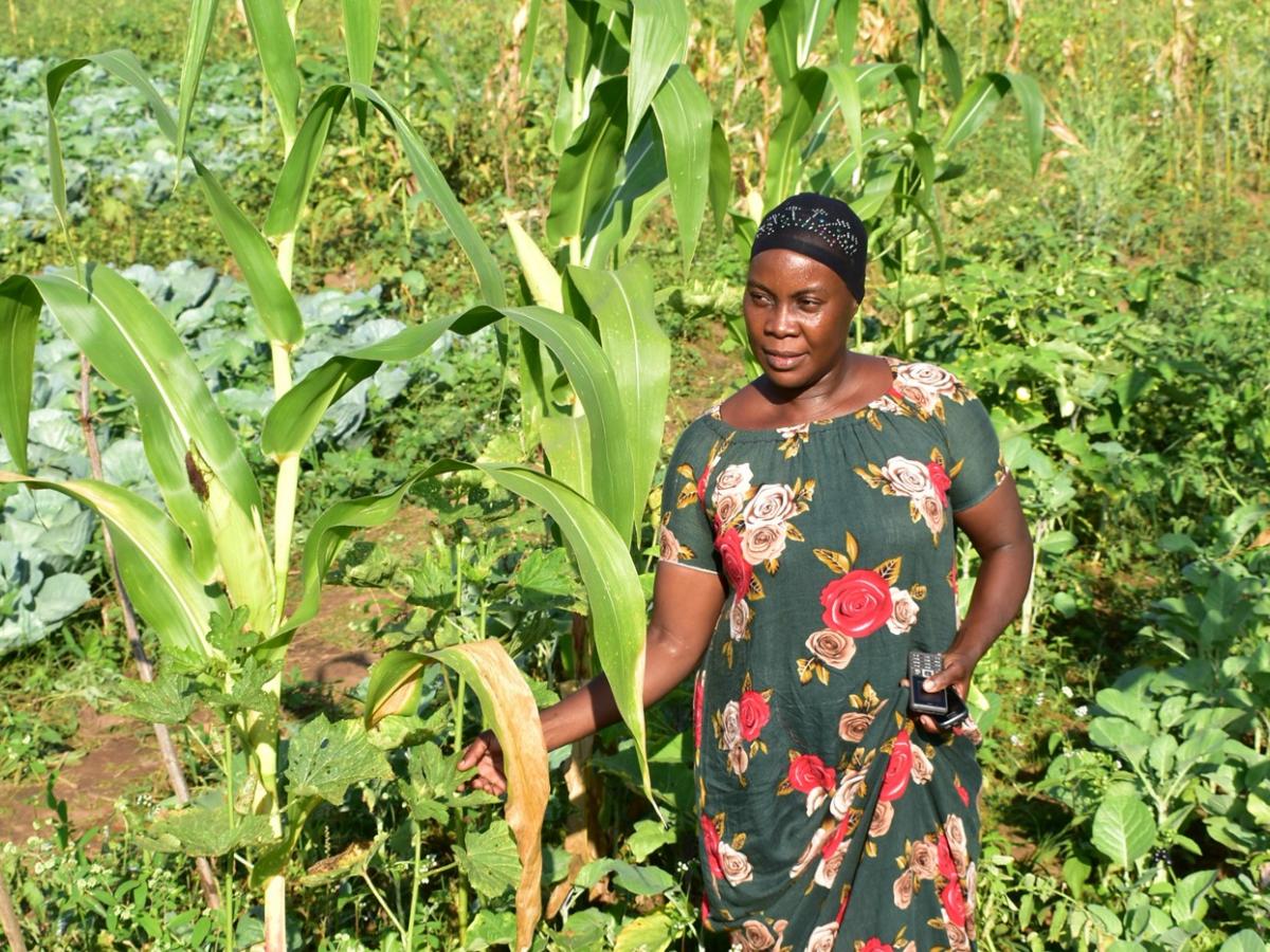 A female African farmer standing in her corn crop