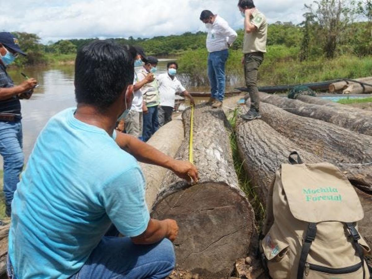 A group of indigenous people measuring logs next to an amazon river