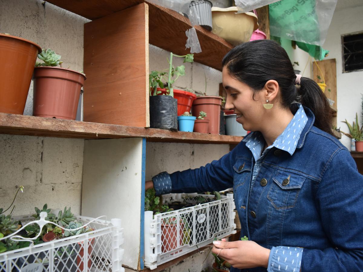This picture shows Omaira, the main character in a blue jean jacket, handling her plants. There are shelves full of potted plants. 
