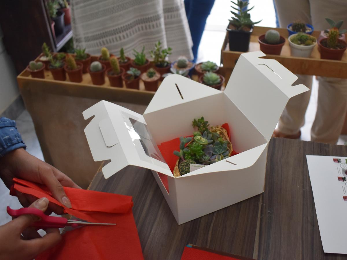 This picture shows two hands cutting orange wrapping paper. On a table, is a white paper box with a succulents arrangement in it. 